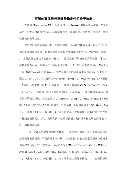 石斛的离体培养及遗传稳定性的分子检测