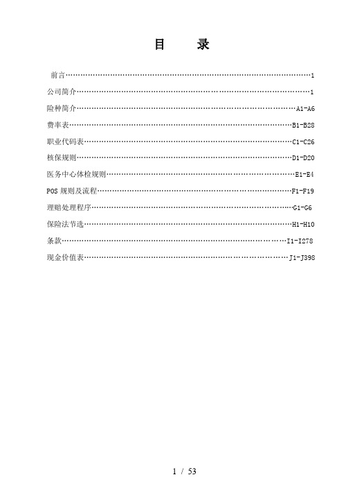 (美国友邦保险)产品手册大全