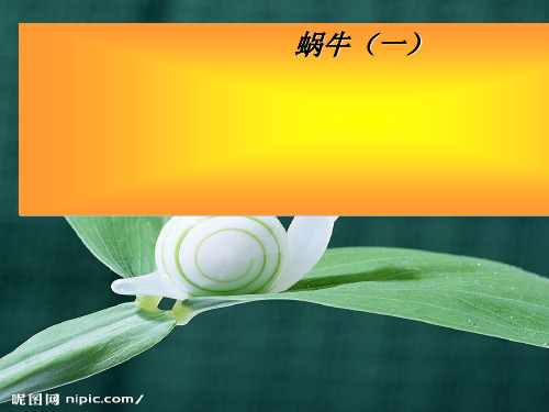 【精选】人教版三年级上册科学蜗牛一_小学科学ppt课件