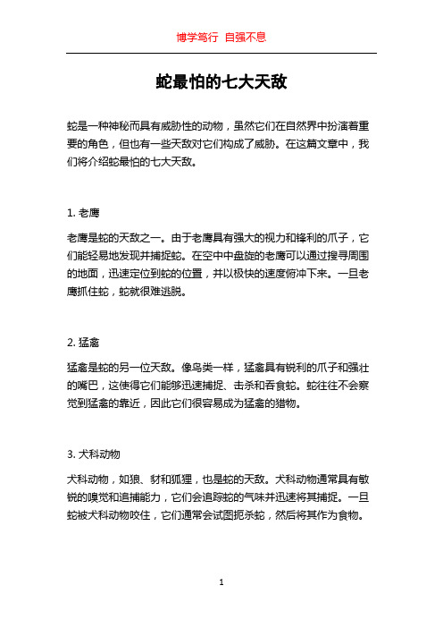 蛇最怕的七大天敌