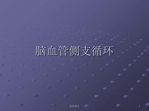 侧支循环PPT课件