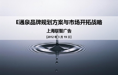 某品牌规划方案与市场开拓战略教材(PPT 91页)
