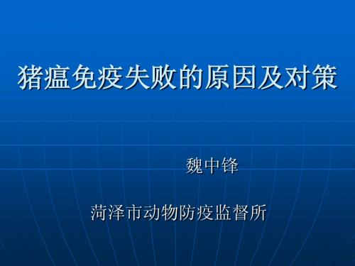 猪瘟免疫失败的原因及对策