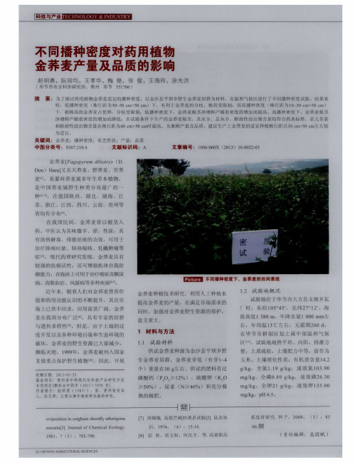 不同播种密度对药用植物金荞麦产量及品质的影响