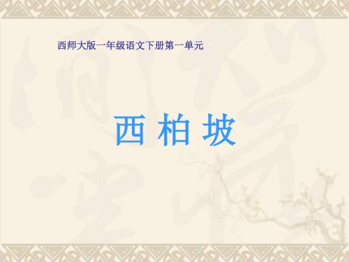 一年级语文下册识字一西柏坡课件pptx