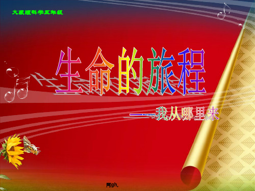 方式施工五年级上科学课件-生命的旅程-大象版2.ppt
