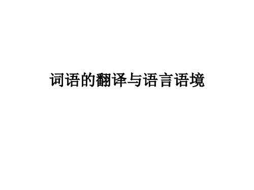 6,词语的翻译与语言语境,Cindy,6