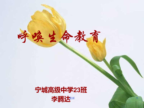 (完整版)呼唤生命教育课件.ppt