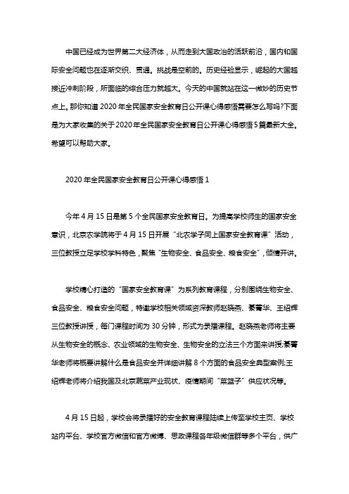2020年全民国家安全教育日公开课心得感悟5篇大全word版