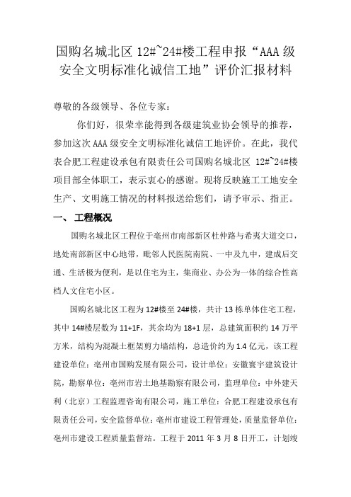 AAA汇报材料
