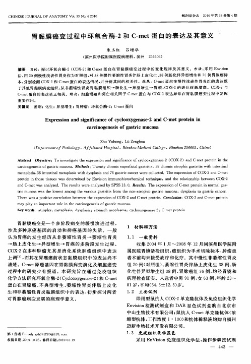 胃黏膜癌变过程中环氧合酶-2和C-met蛋白的表达及其意义