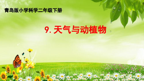 青岛版五四制二年级下册科学9.天气与动植物