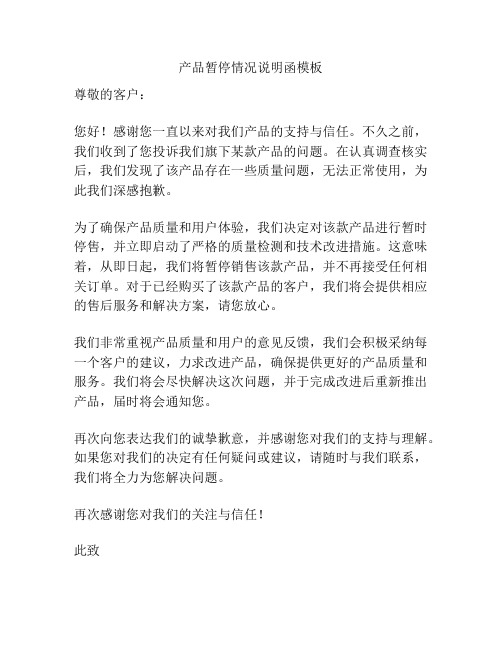 产品暂停情况说明函模板