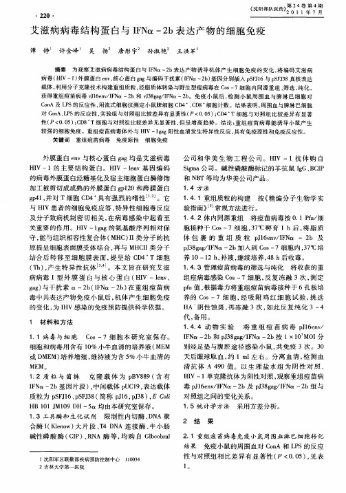 艾滋病病毒结构蛋白与IFNα-2b表达产物的细胞免疫