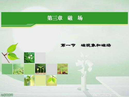 物理选修3-1人教新课标3.1磁现象和磁场课件概要