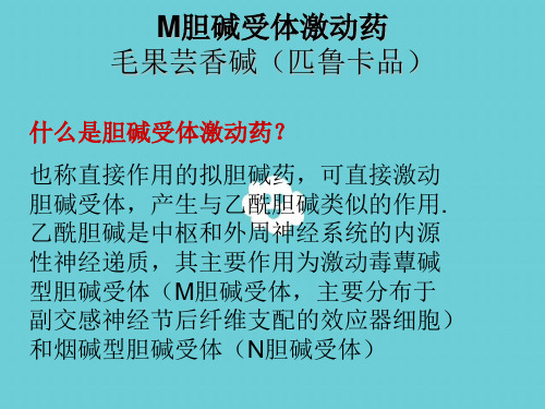 M胆碱受体激动药解析
