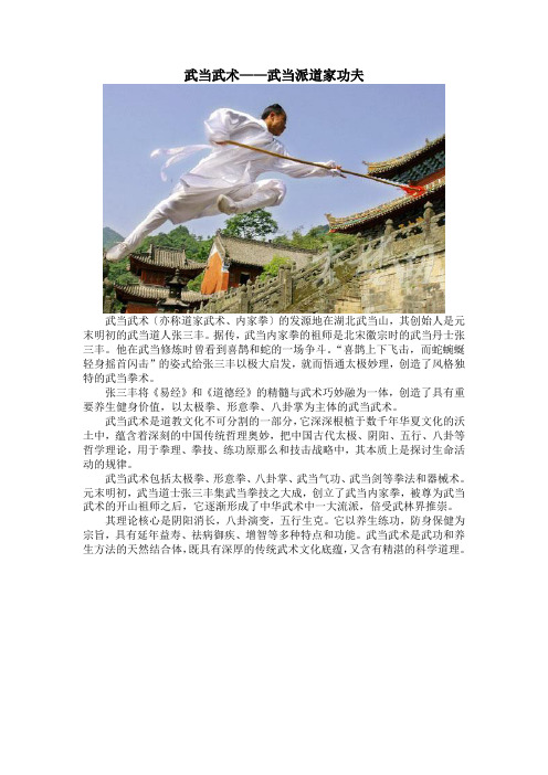 武当武术——武当派道家功夫