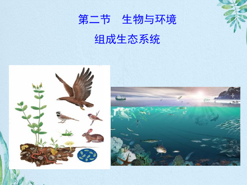 生物与环境组成生态系统2