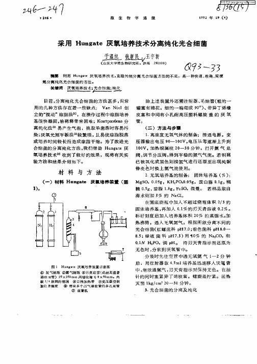 采用Hungate厌氧培养技术分离纯化光合细菌