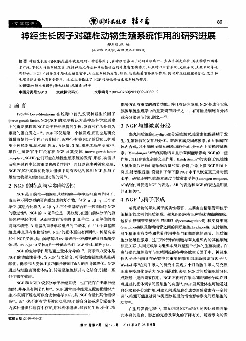 神经生长因子对雄牲动物生殖系统作用的研究进展