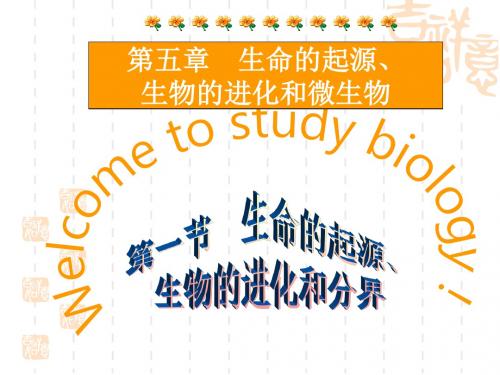 初中八年级(初二)生物 第八章生命的起源和生物的进化
