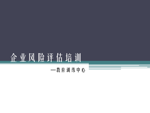 企业风险评估培训.pptx