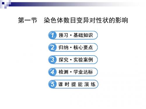 1.2.1染色体数目变异对性状的影响 课件1(中图版必修2)