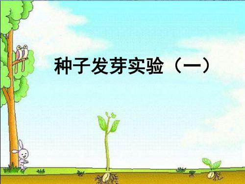 五年级上册第一单元1、《种子发芽实验(一)》教学课件