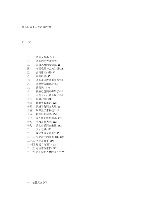 装在口袋里的爸爸：聪明饭