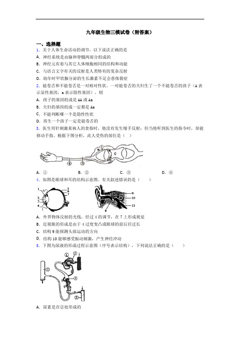 九年级生物三模试卷(附答案)