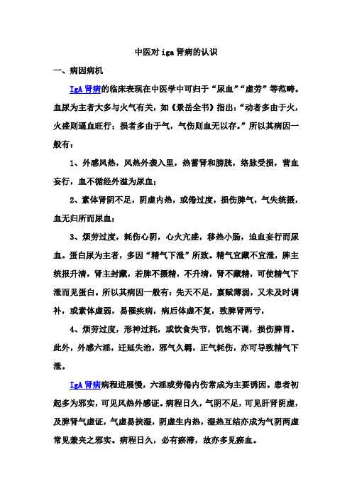 中医对iga肾病的认识