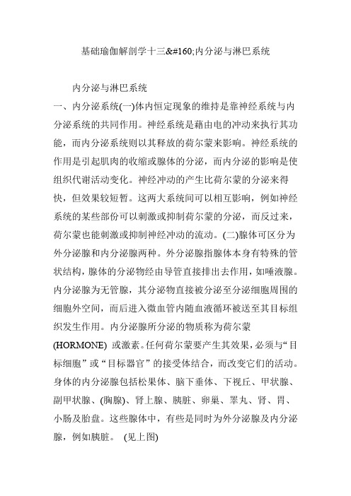 基础瑜伽解剖学十三