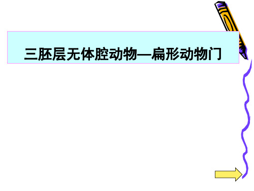 三胚层无体腔动物—扁形动物门
