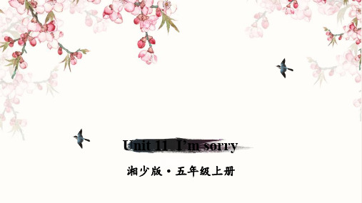 湘少版五年级英语上册Unit 11 I'm sorry课件PPT