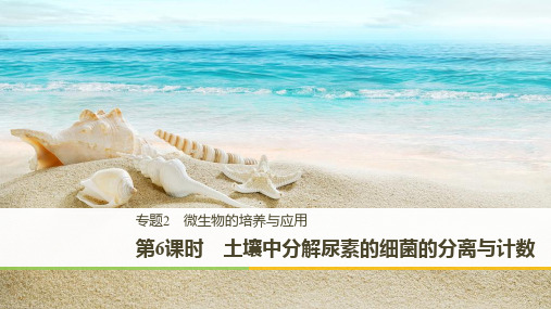 2019_2020学年高二人教版生物选修一课件：2.2 土壤中分解尿素的细菌的分离与计数 