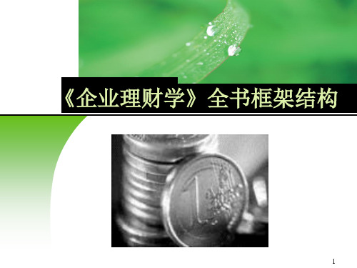 第一章企业理财学总论