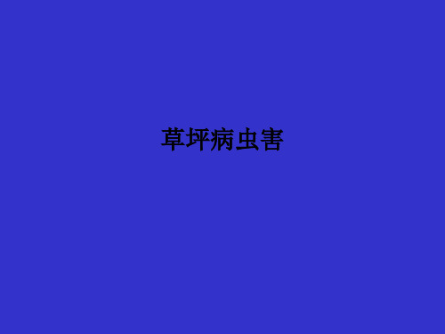 草坪病虫害PPT课件