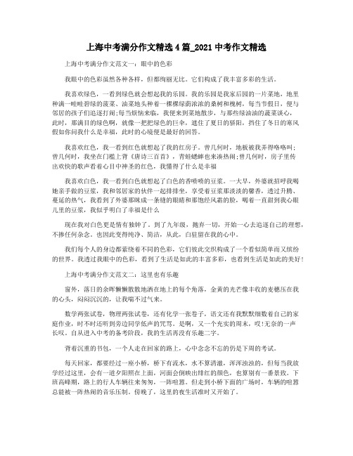 上海中考满分作文精选4篇_2021中考作文精选