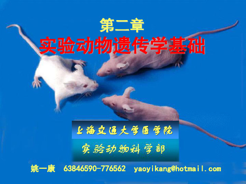 上海交通大学医学院动物学课程2012级第二章 实验动物遗传