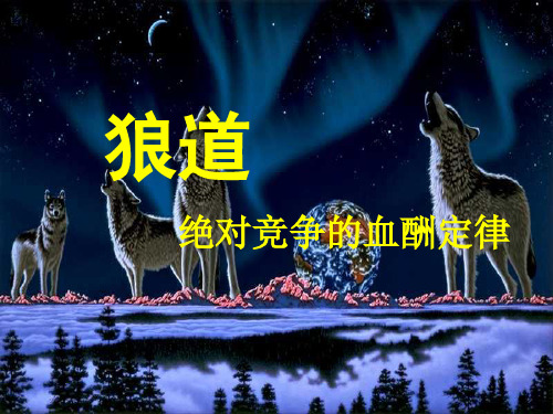 狼道-竞争的血酬定律参考PPT