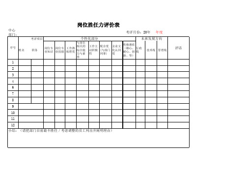 岗位胜任力评价表