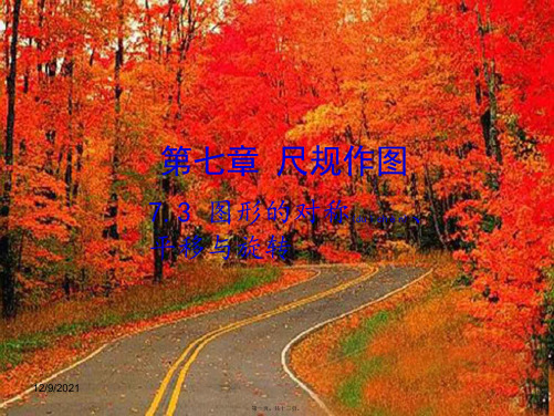 中考数学复习 第七章 视图与变换 7.3 图形的对称、平移与旋转课件