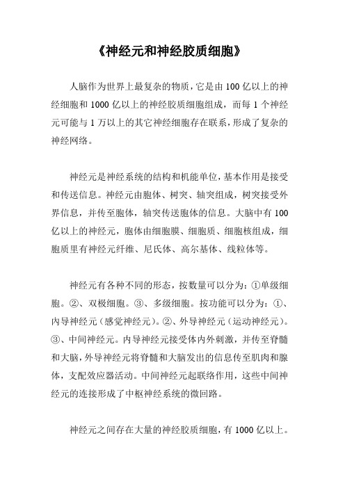 神经元和神经胶质细胞