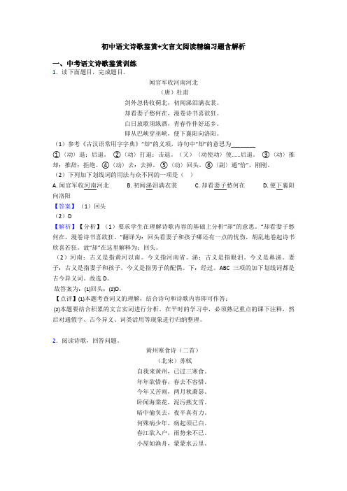 初中语文诗歌鉴赏+文言文阅读精编习题含解析 (2)