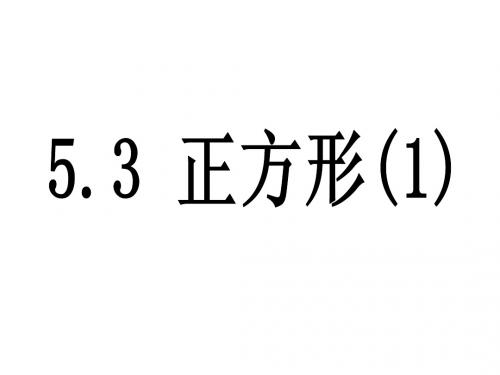 5.3正方形(1)