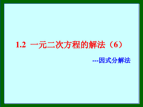 1.2一元一次方程的解法(6)---因式分解法