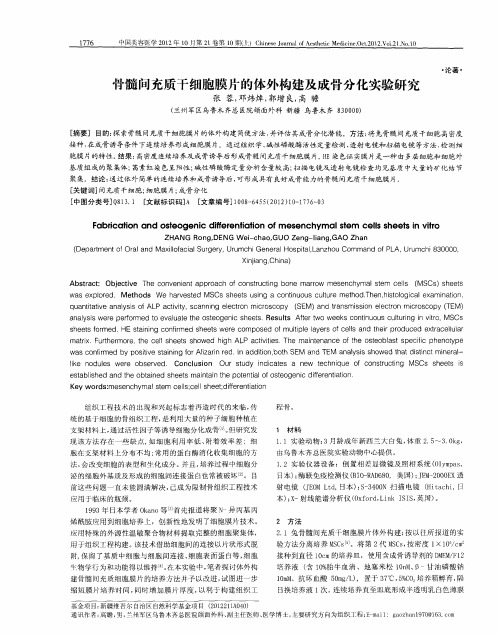 骨髓问充质干细胞膜片的体外构建及成骨分化实验研究