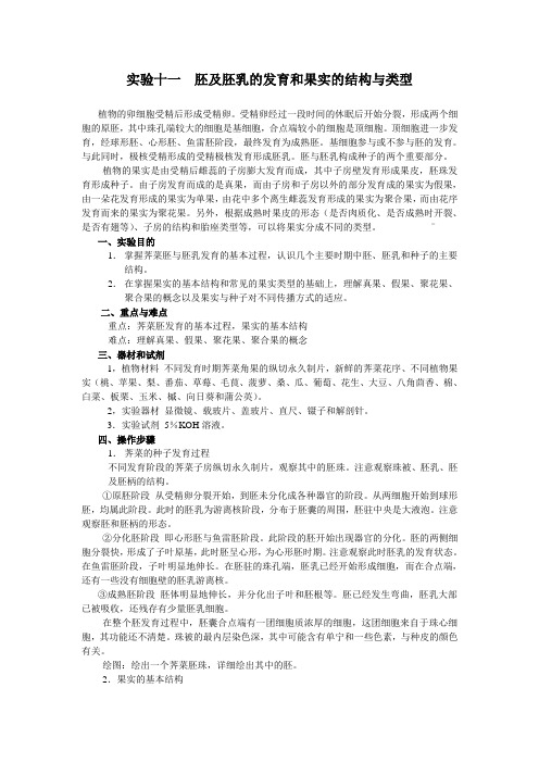 实验十一 胚及胚乳的发育和果实的结构与类型