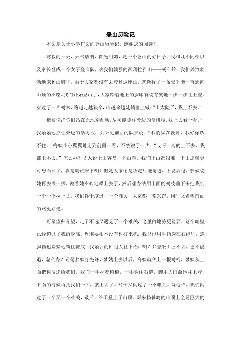 登山历险记_小学作文