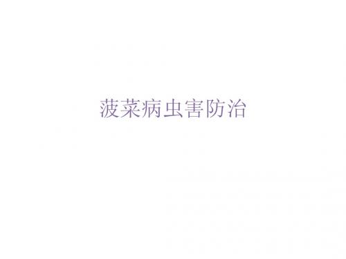 菠菜病虫害防治